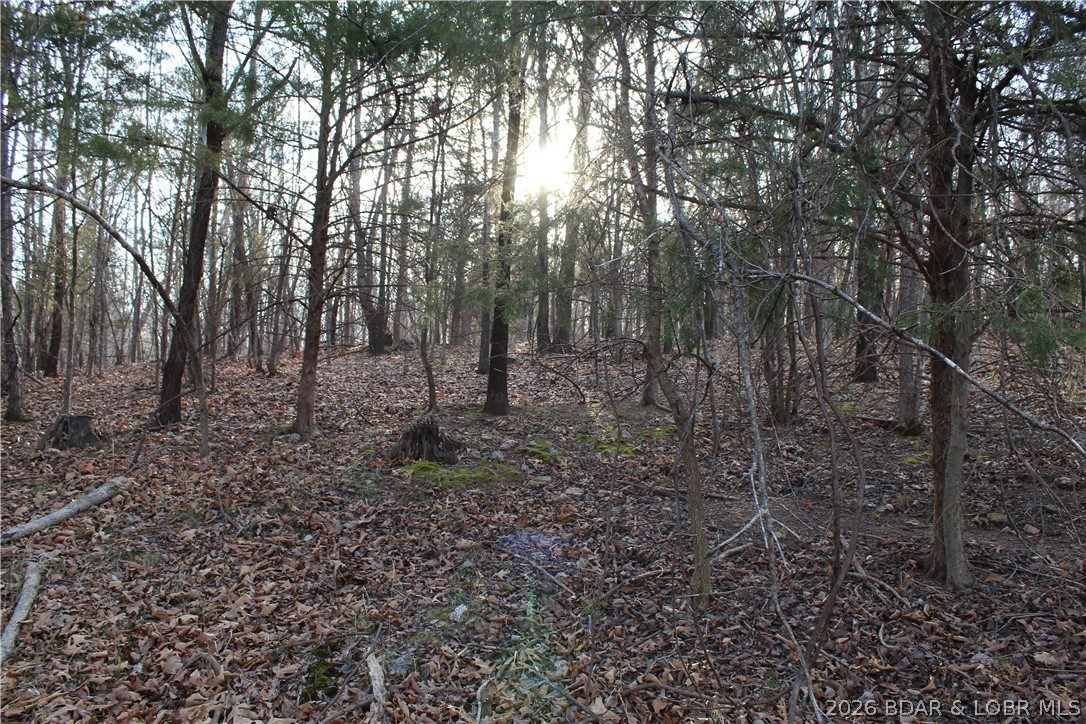 Country Life Acres - Land