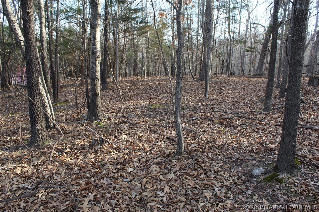 Country Life Acres - Land