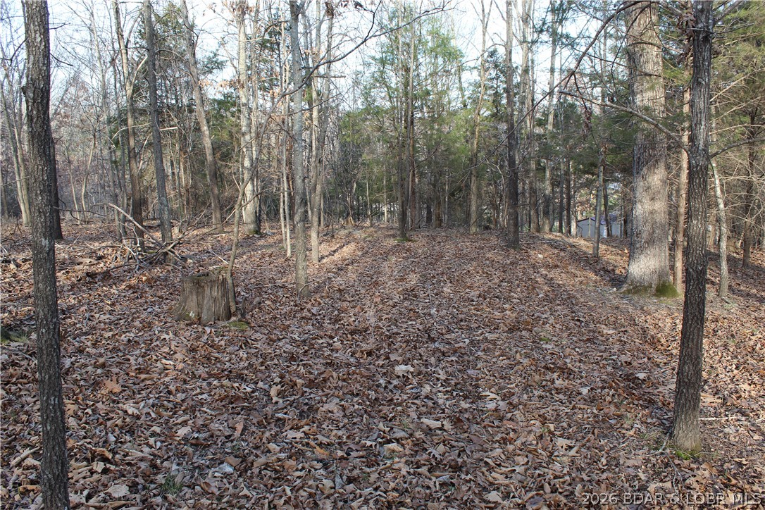 Country Life Acres - Land