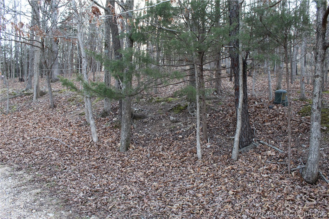 Country Life Acres - Land