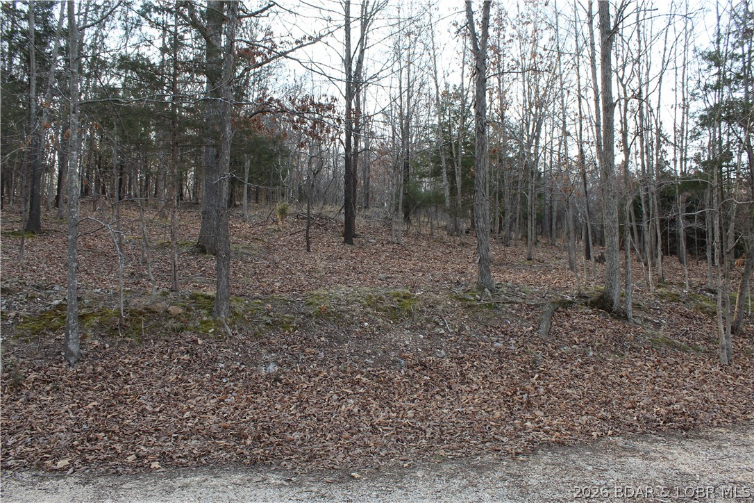 Country Life Acres - Land