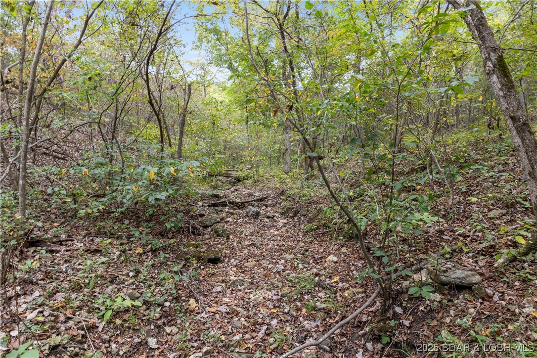 Plantation Ridge - Land