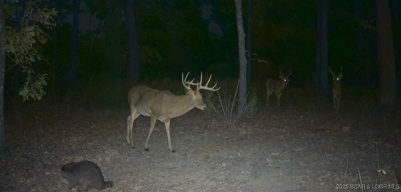 Plantation Ridge - Land