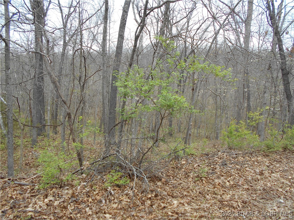 Camelot Estates - Land