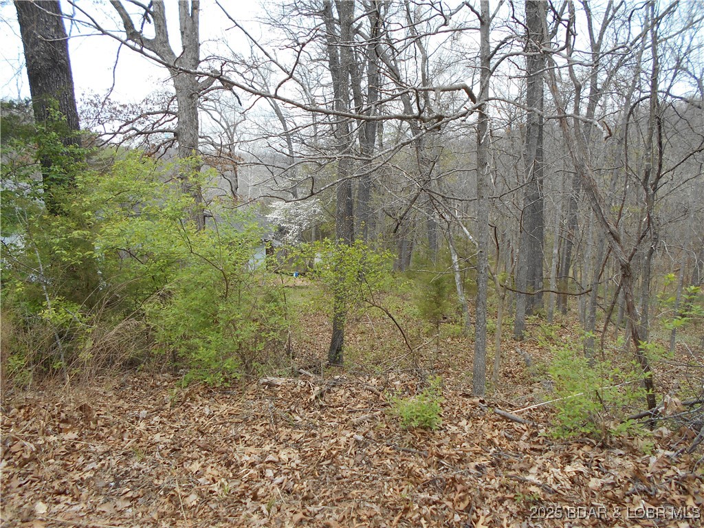 Camelot Estates - Land