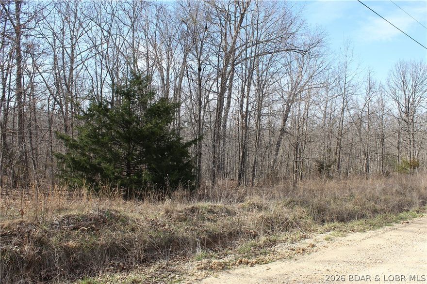 Nice mostly gentle laying parcel in Proctor Tower Estates just 10 minutes north of Laurie on Hwy 135 and only 4 miles to lake access in Proctor Cove. Nice setting for a hunting cabin, camping spot or build your dream acreage! Come tour your new slice of the Ozarks today!