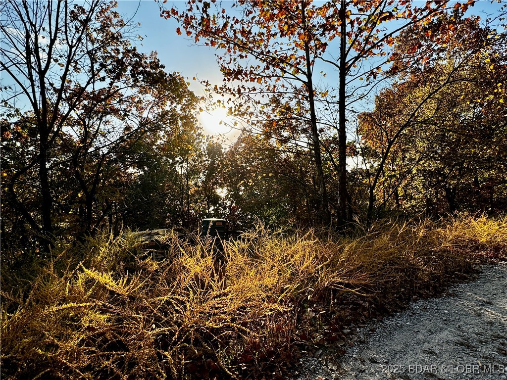 Lake Horizons - Land