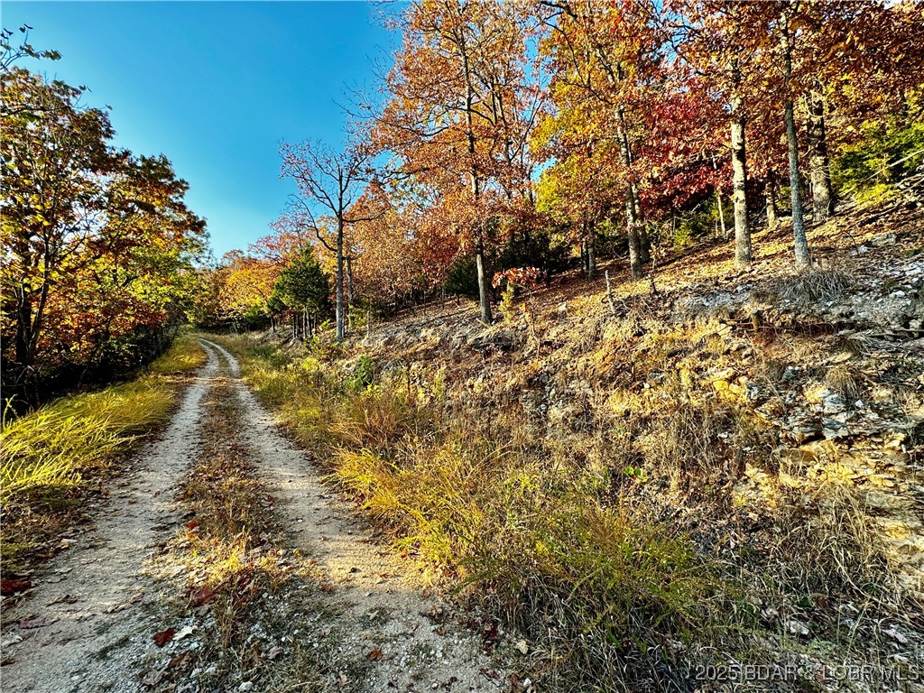Lake Horizons - Land