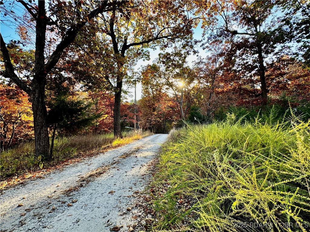 Lake Horizons - Land