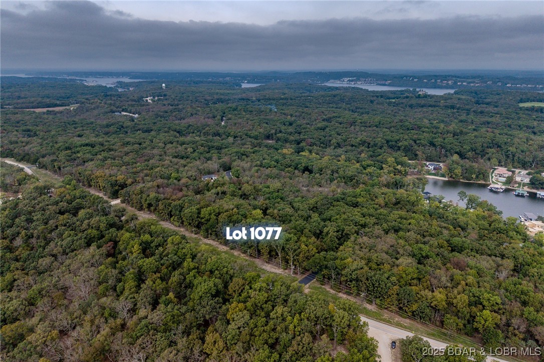 Champions Run - Land