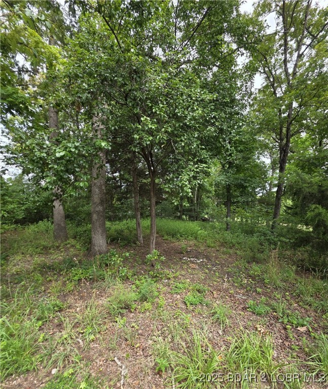 Seasons Ridge - Land