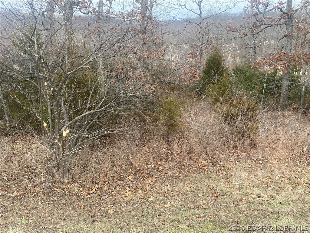 Country Club Cove - Land