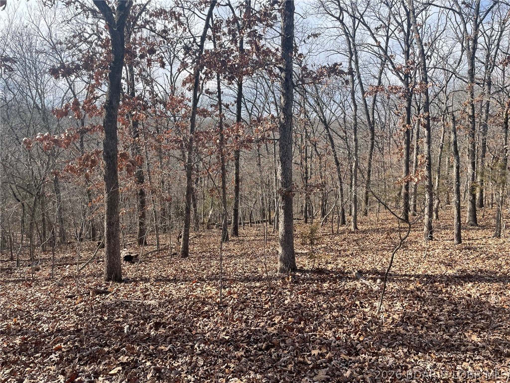 Cornett Cove No. 2 - Land