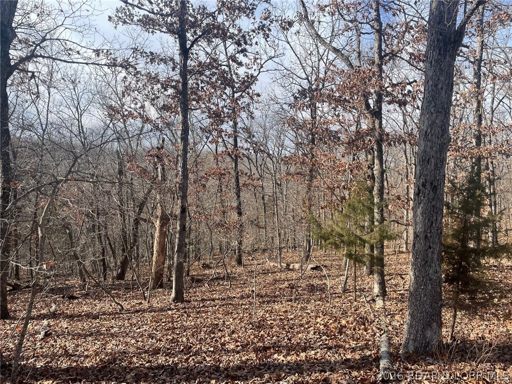 Cornett Cove No. 2 - Land