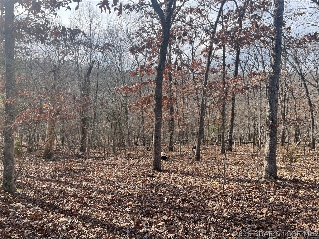 Cornett Cove No. 2 - Land