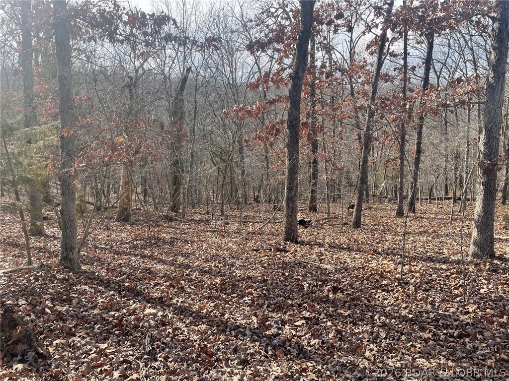 Cornett Cove No. 2 - Land