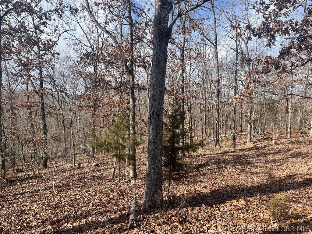 Cornett Cove No. 2 - Land