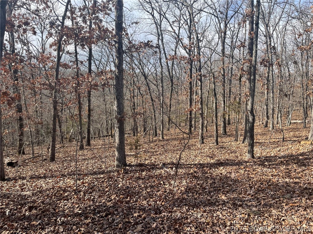 Cornett Cove No. 2 - Land