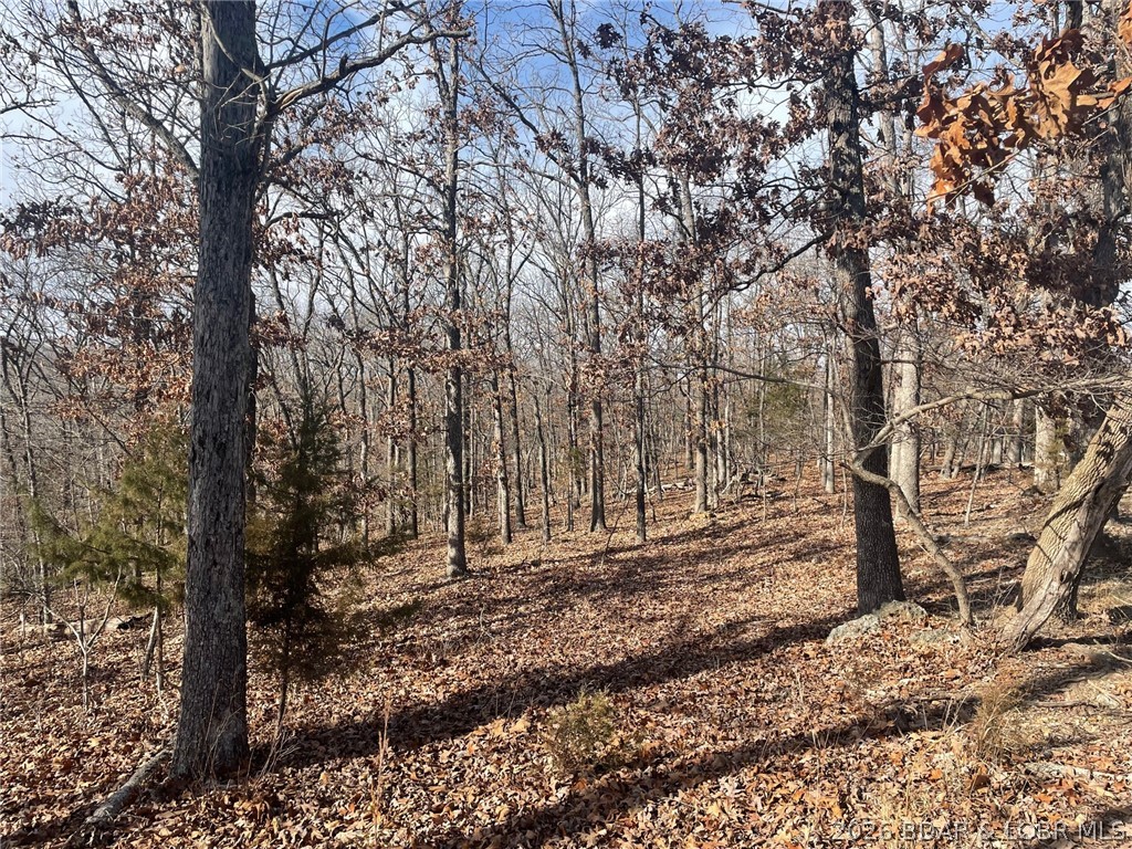 Cornett Cove No. 2 - Land