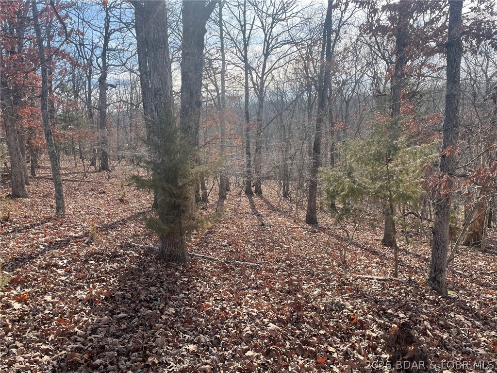 Cornett Cove No. 2 - Land