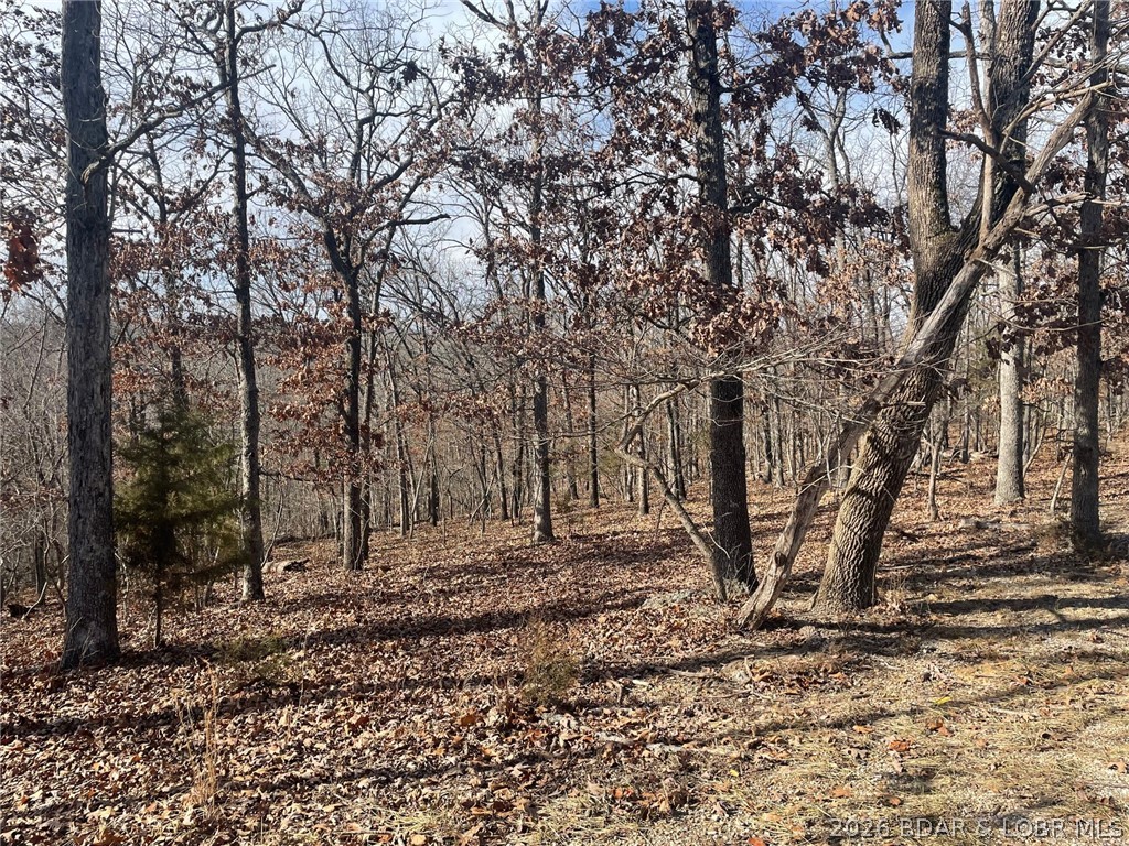 Cornett Cove No. 2 - Land