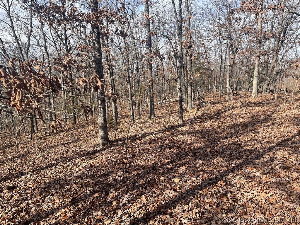 Cornett Cove No. 2 - Land