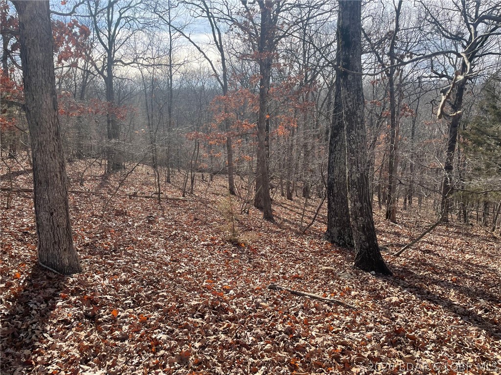 Cornett Cove No. 2 - Land