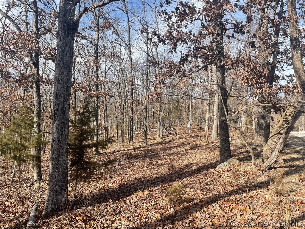 Cornett Cove No. 2 - Land