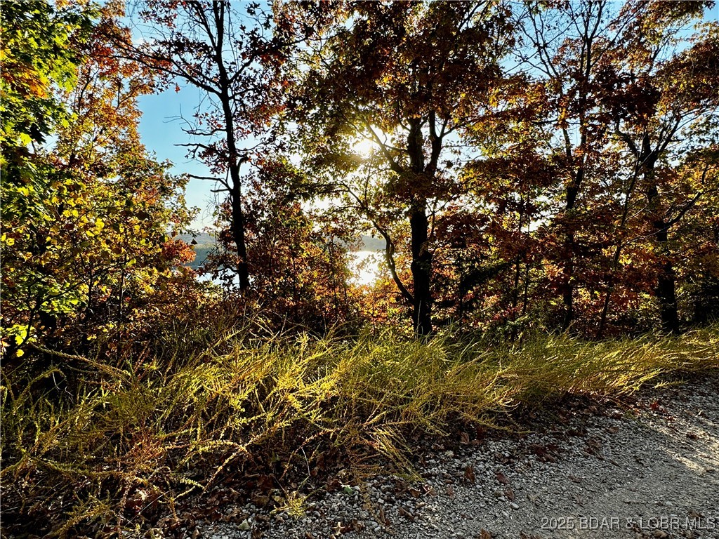 Lake Horizons - Land