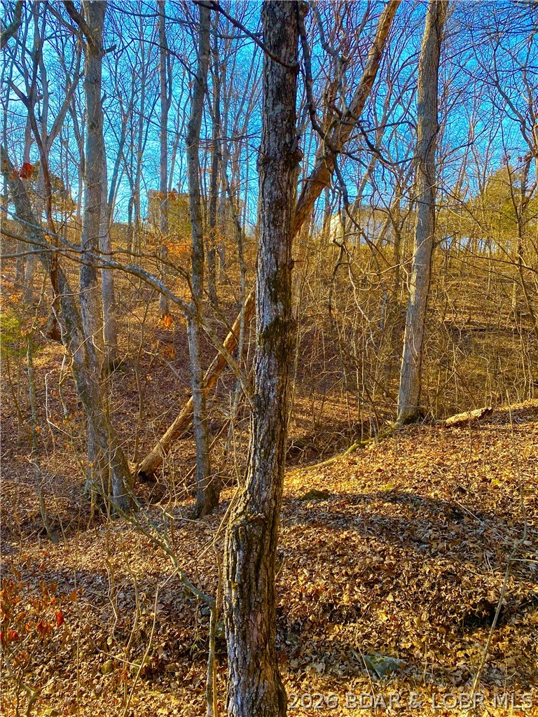 Out of Area - Residential