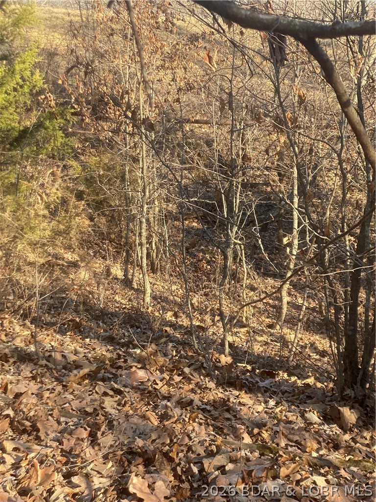 Out of Area - Residential