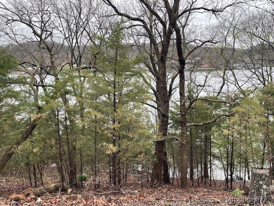 Now is the time to stop dreaming and start acting. This is an excellent opportunity to take that first step toward owning a lake home. With the affordable property price will allow you to begin construction even that much sooner. Go ahead plan that Sunday drive and come check it out. Be sure to grab the camera, you'll want to continue enjoying the view once you leave. Whether your plans include a small lake cabin or a large home for all the guests the building envelope is the ideal canvas to begin enjoying life at the lake.