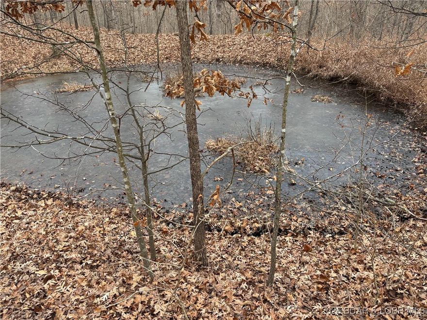 Tucked away in the COUNTRY surrounded by wooded peace and quiet! Yet only a 15 minute drive into the city of Lebanon, MO. Your dream come true begins at the PRIVATE GATE into the community. Following the FLAT driveway, winding through vistas of pasture and wooded land will bring you to this 29.47 ACRE TRACT. Build a cabin in the woods or your dream home overlooking your own PRIVATE POND. Electric would be easy to pull from pole across the driveway. Few restrictions: While mobile homes aren't allowed, RVs and trailers are for the 12 month period during construction of a residential building. MODULAR homes on a permanent, concrete foundation, no more than 1 year old at time of construction are allowed, as are SHOUSE style and BARNDOMINIUM style homes. Located near BENNETT SPRINGS STATE PARK and LAKE of the OZARKS. Looking for additional pasture or room to spread out? Check out two additional listings surveyed and offered by this owner.