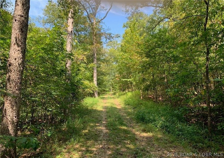 17 wooded acres with a clearing at the top of the property to take in the majestic views!  Located close to Big Dicks for some lake fun.