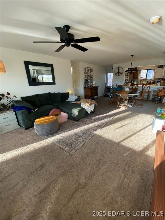 Swiss Village Condominium - Residential