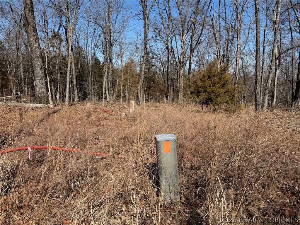 Champions Run - Land