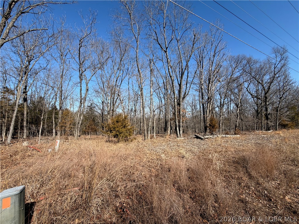 Champions Run - Land