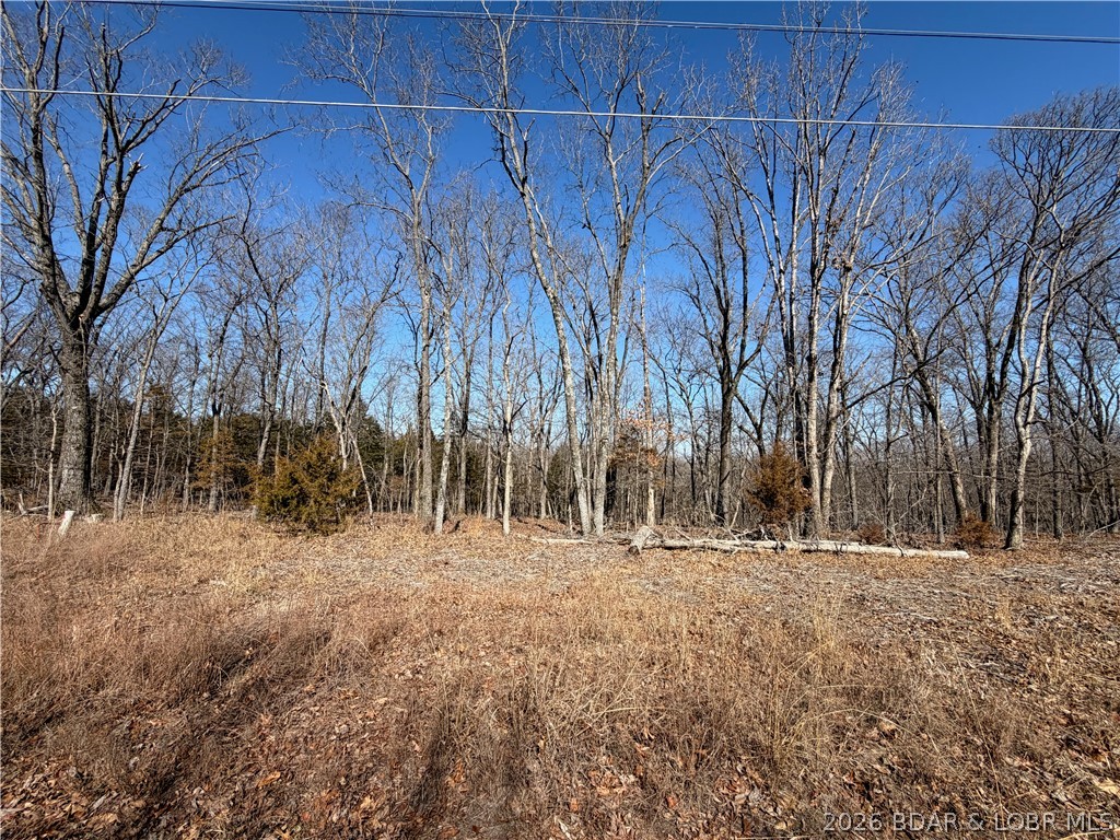 Champions Run - Land