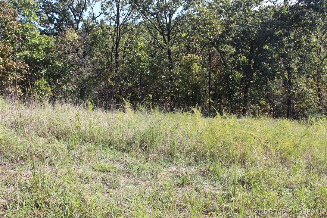 Woodhaven Estates - Land