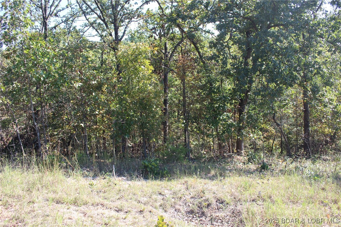 Woodhaven Estates - Land