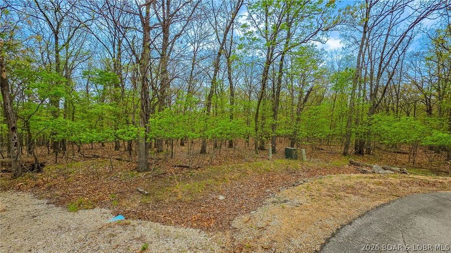 Discover the perfect canvas for your custom home on this beautiful 0.88-acre wooded lot located on a quiet cul-de-sac at Eagles Cove Court. This level building site offers an easy construction footprint and features a seasonal lake view that captures the beauty of the Ozarks. Enjoy the best of Lake of the Ozarks living with deeded lake access and the prestigious amenities of Porto Cima. The lot comes ready for your vision with water and sewer agreements already in place. To maintain the high standards of this community, the POA requires a minimum of 1,100 sq. ft. (or comparable to surrounding luxury homes). Whether you are looking for a peaceful primary residence or a vacation getaway, this prime piece of land offers the space, privacy, and location you’ve been searching for!