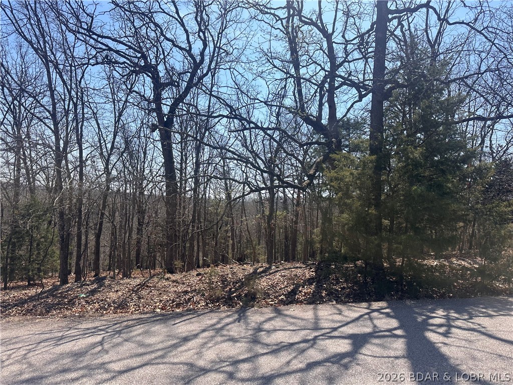 Camelot Estates - Land