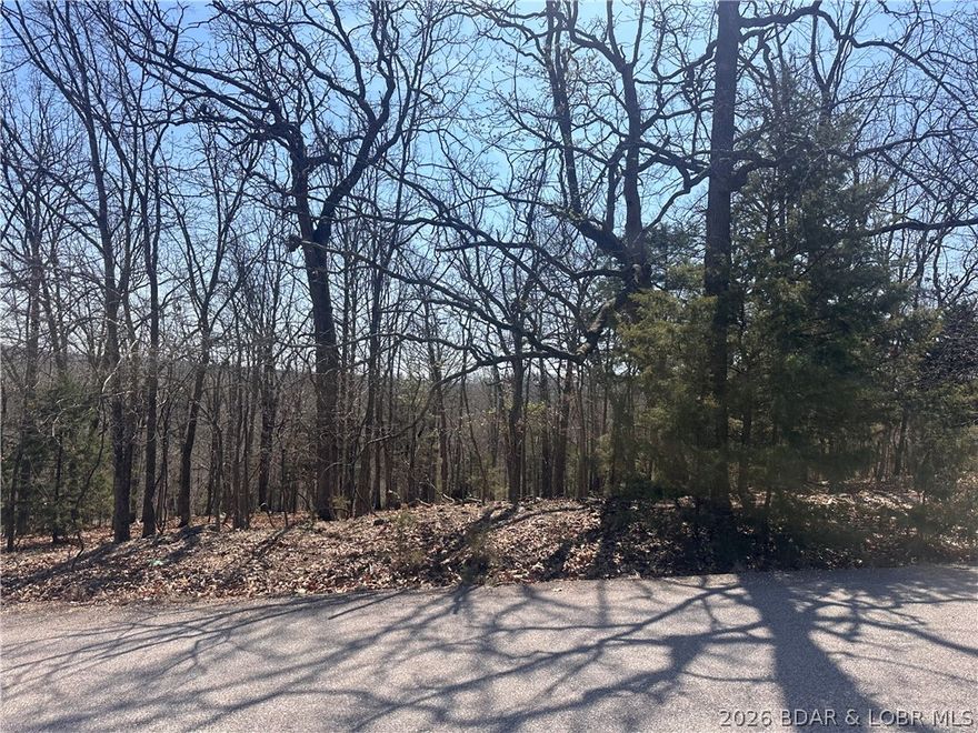 Build your dream home in the highly sought-after Camelot Estates community! This beautiful wooded lot backs up to green space, providing added privacy and a peaceful natural setting. Perfect for creating your ideal lake retreat.
Enjoy full access to Camelot’s extensive amenities, including two swimming pools, tennis courts, a fishing boathouse, boat ramps, and water access ideal for kayaking and lake enjoyment.
The property also features central water and central sewer, making your build process more convenient and cost-effective. Whether you're planning a full-time residence or a weekend getaway, this lot delivers both lifestyle and long-term value.
Don’t miss your chance to own in one of the Lake’s most established, amenity-rich communities—this is where your lake lifestyle begins.