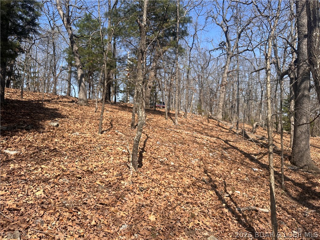 Camelot Estates - Land