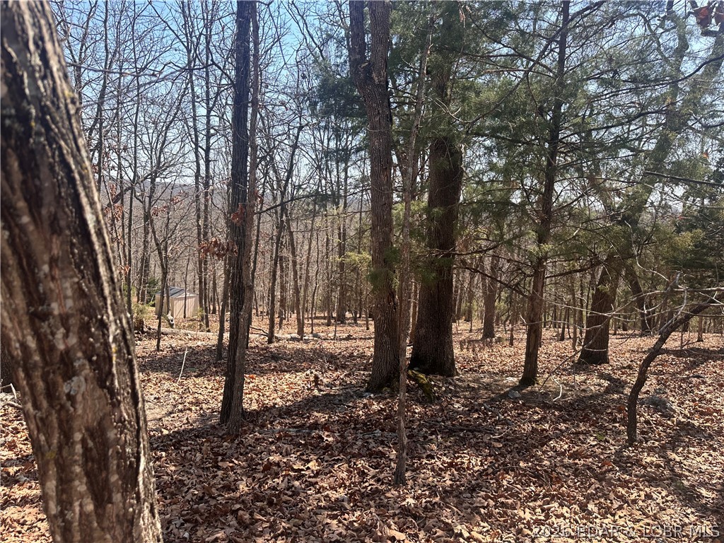 Camelot Estates - Land