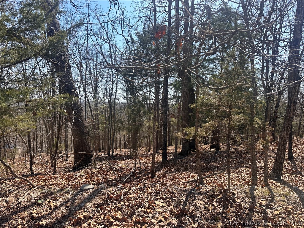 Camelot Estates - Land