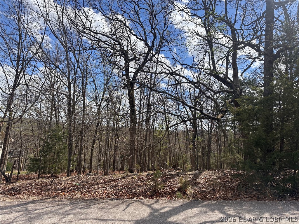 Camelot Estates - Land