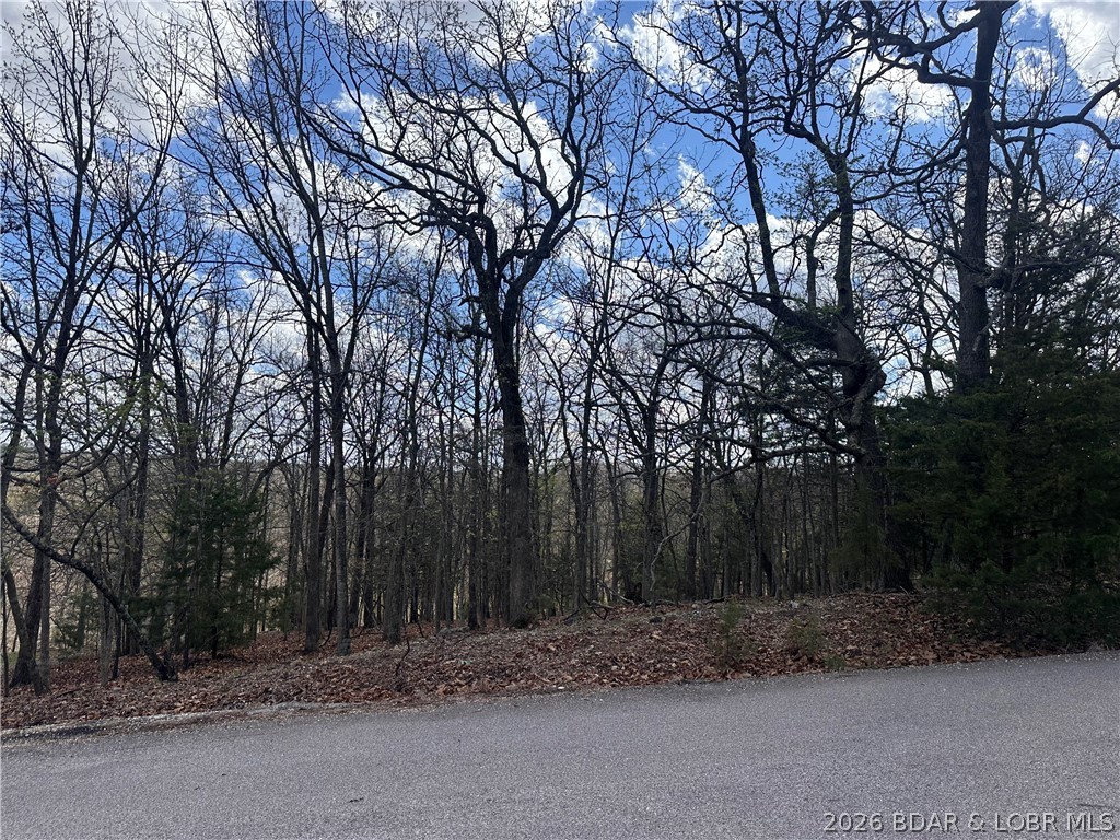 Camelot Estates - Land