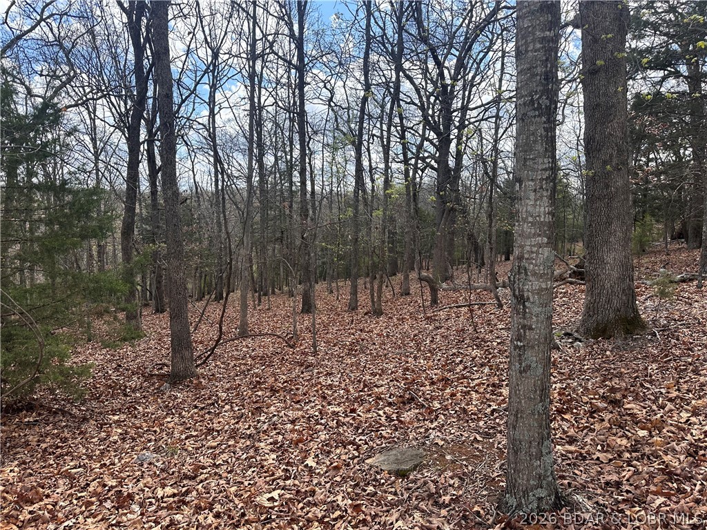 Camelot Estates - Land