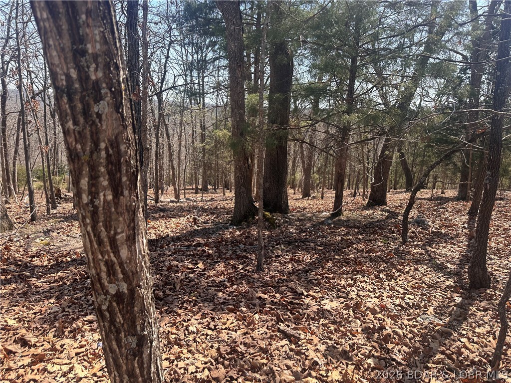 Camelot Estates - Land